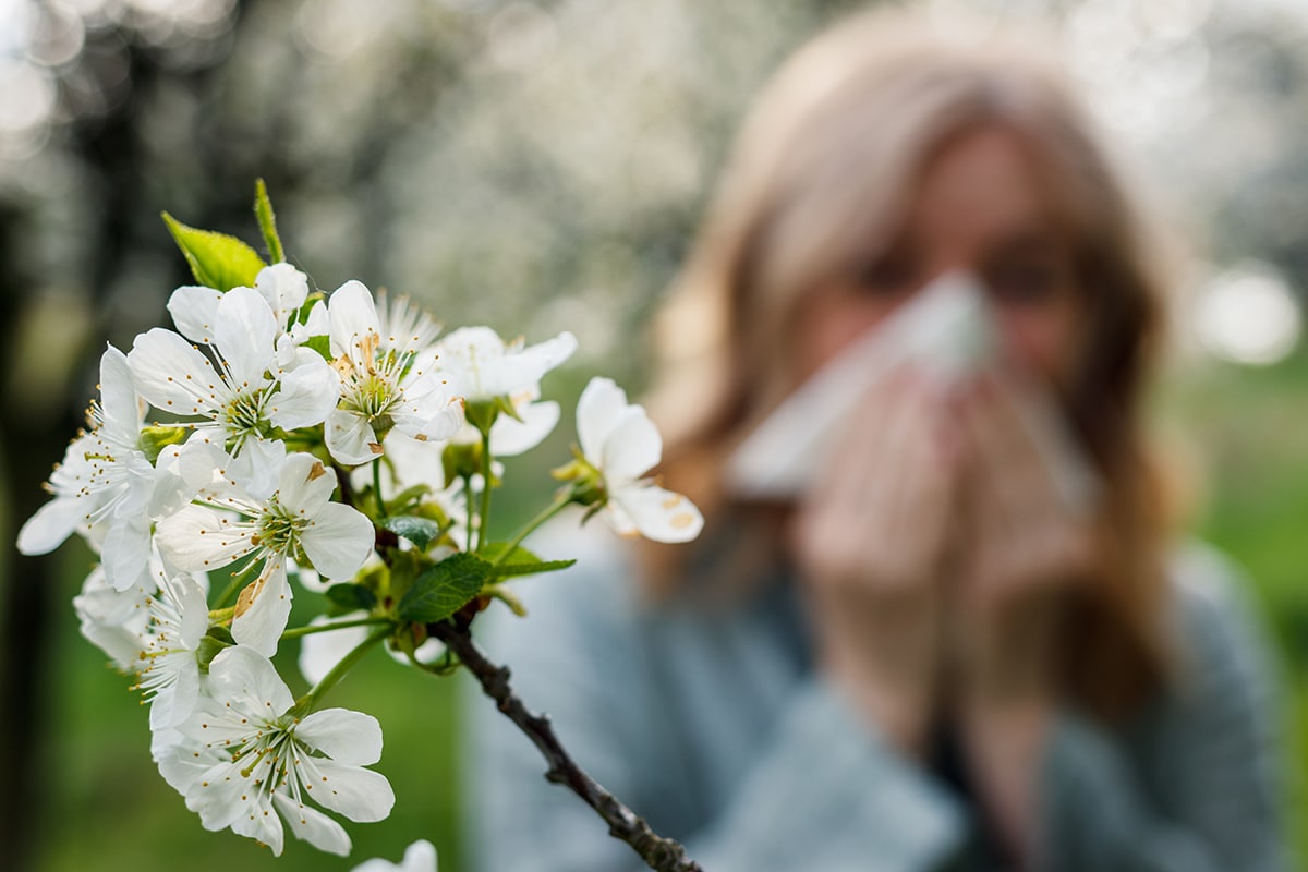 Hayfever Treatment. Hayfever Injections