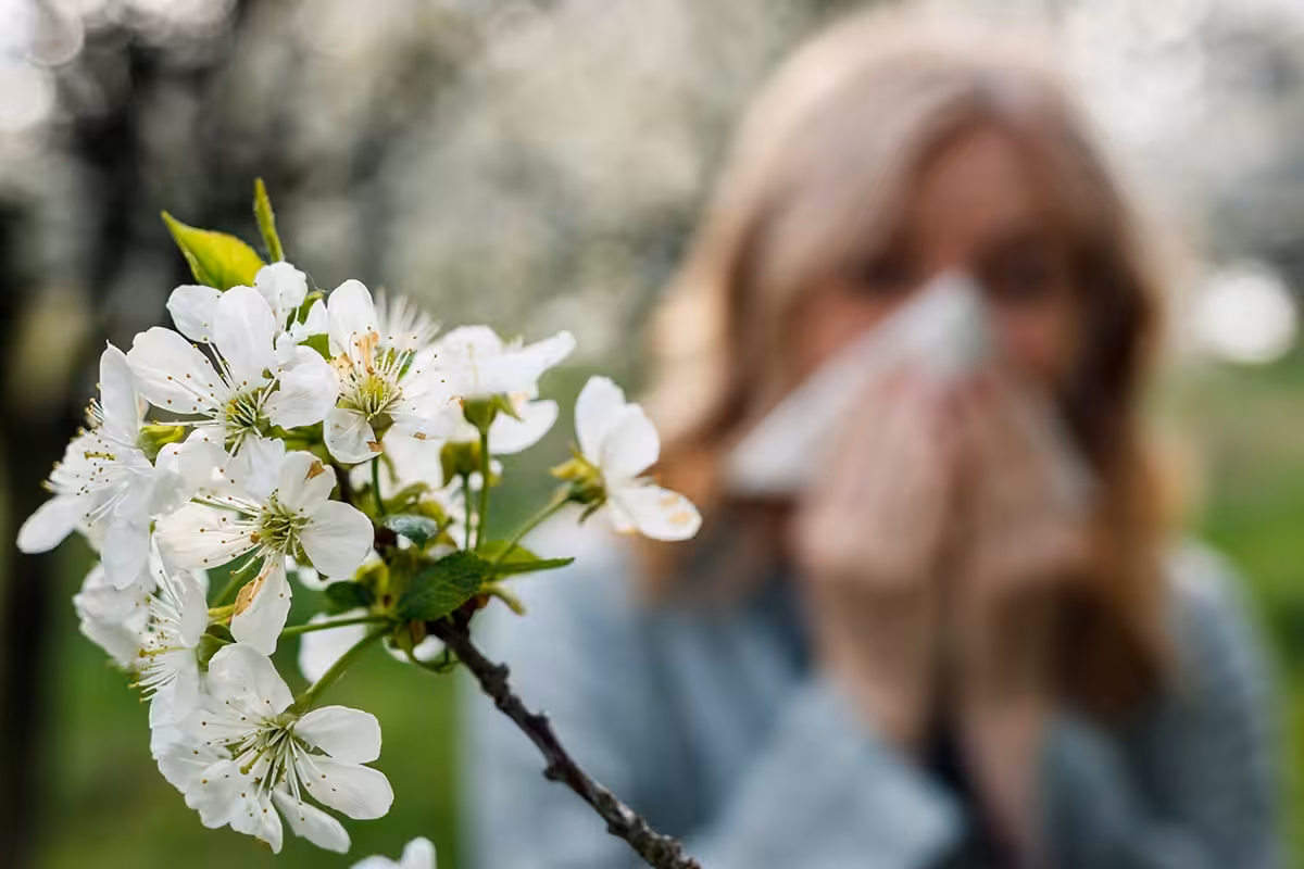 Hayfever Treatment. Hayfever Injections